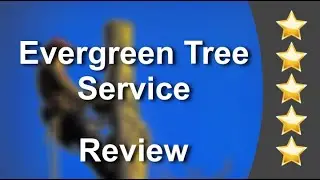 Evergreen Tree Service Reviews - Five Stars for Tree Trimming in Deer Park, Texas