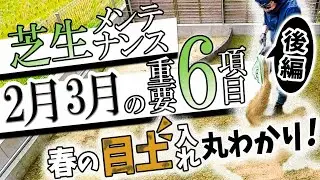 大切な目土入れ！入れすぎても❌！少なすぎても❌！育ちに影響します
