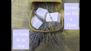 Essential Oil Goat Milk  & Goat Tallow Soap Making