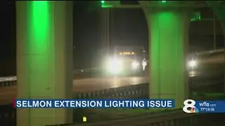 $8M Selmon Expressway beautification project runs into technical issues