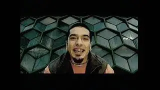 Parazitii - Shoot Yourself
