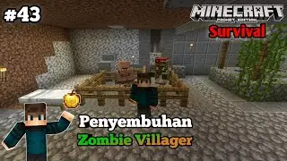 AKU MENYEMBUHKAN VILLAGER DARI VIRUS ZOMBIE | SURVIVAL SERIES #43