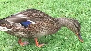 Parco Terme di Comano