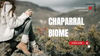 CHAPARRAL BIOME  |  🌳🐐🦌