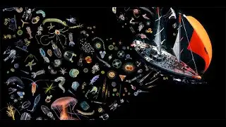 Diverse plankton &ndash; unevenly active, unevenly distributed