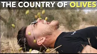 The Country Of Olives