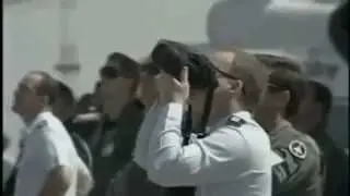 стрижи