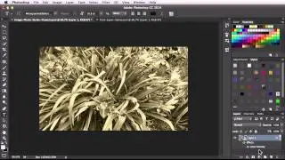 Adobe Photoshop CC 