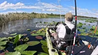 Lake Marion Sept 29 2025