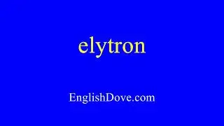 How to pronounce elytron in American English