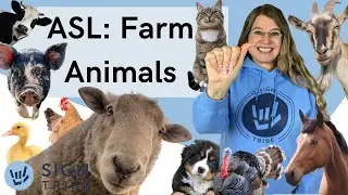 ASL Farm Animals: sheep, cow, chicken, horse, & MORE! | Sign Tribe Academy | Dr. Luanne Sailors
