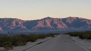 Road cruising for snakes in the Mojave desert May 10 2025