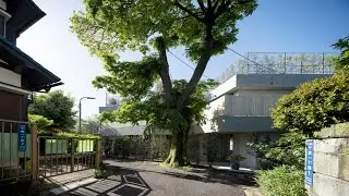 CHIDORI TERRACE Co-operative Housing Complex By FUJIWALABO +Teppei Fujiwara Architects Labo In JAPAN