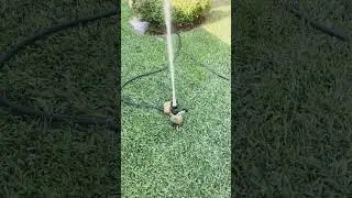 High water jet