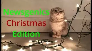 Mewgenics Newsgenics: Bosses, Item Pools, and More!