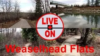 CALGARY'S NATURAL PARADISE REVEALED: Hiking Weaselhead Flats #hiking