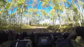 Steamboat springs atv trails
