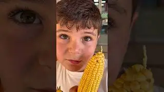 TARLA MISIRI MI #utkuasel #shortvideo #shortsvideo #short #shorts #shortsfeed