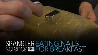 Eating Nails for Breakfast  - Cool Science Experiment