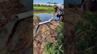 No Electricity Siphoning Technique - Siphon Water Device