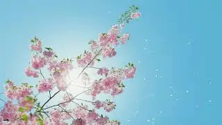 Gustav Lange - Blumenlied, Flower Song (1 hour loop)