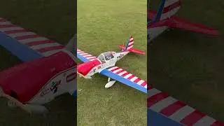 Seagull 81