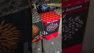 Pillar of Autumn 16's by LF Fireworks #diwali #fireworks #shorts #nye2026 #nye #paputok #bagongtaon