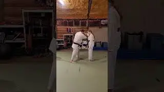 Short Demo Jukoryu jujitsu Brown belt: ryote kubi seoi nage