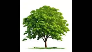 పెద్దమ్మ చెట్టు (The Big Neem Tree) - Telugu Stories for Kids