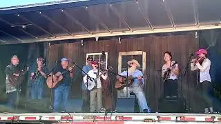 Roll In My Sweet Baby's Arms (Bluegrass from the Forest)