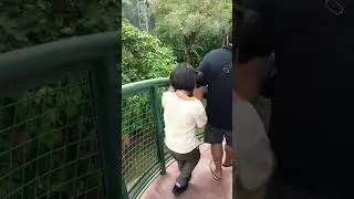 bird land jakarta ancol