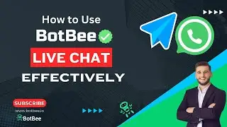 Mastering BotBee's Live Chat for WhatsApp and Telegram