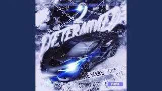 DETERMINED 2