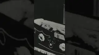 Lincoln In His Casket! How The Photo Was Discovered