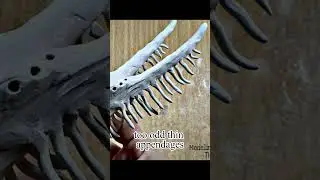 Наблюдатель за птицами | Творения Тревора Хендерсона