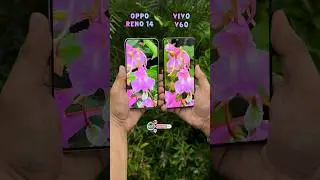 Oppo Reno 14 Vs Vivo V60 Camera Compare