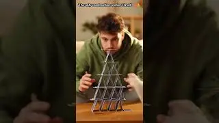 The World's Best Construction Worker! 👷&zwj;♂️🐈 Cat House of Cards