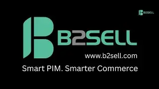 PIM Software Explained: What Is Product Information Management (PIM) & Why Businesses Need It