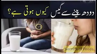 Harmful Effects of Drinking Milk 2025 l دودھ پینے کے مضر اثرات l Side Effects of Milk | LACTOSE MILK