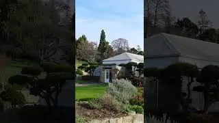 Hobart Supercut - Coastal Landscape Beauty - Cropped #Shorts 4
