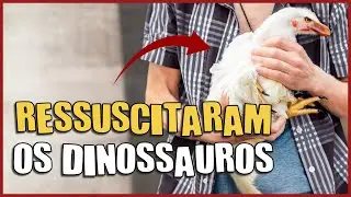Galinhossauro: Podemos Reviver os Dinossauros?