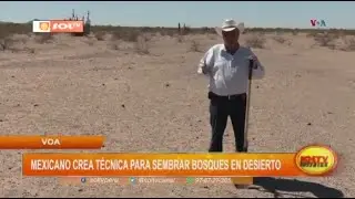 Mexicano crea técnica para sembrar bosques en desierto