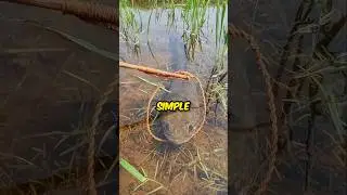 Unique Fishing Skills 😳