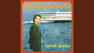 Ayrılık Gemisi