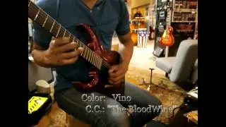 Washburn Renegade with Randall X,XL pickups Guitar Review