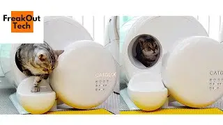 5 невероятных гаджетов для кошек, которые вам понравятся