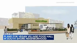Vegan village food hall in the works for South Shore neighborhood: 'We want community investment'