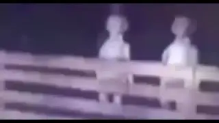 Гуманоидные фигуры преследовали изолированный фермерский дом