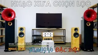 CD | TRƯỜNG VŨ - NHẠC XƯA ĐẶC BIỆT  / NHẠC LOSSLESS CHẤT LƯỢNG CAO