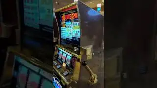 MGM Grand Cherry Jubilee!! 5 jackpots same time!! #jackpot #casino #slot #bonus